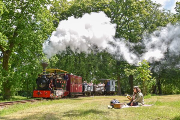 Family Ticket to Bredgar Railway